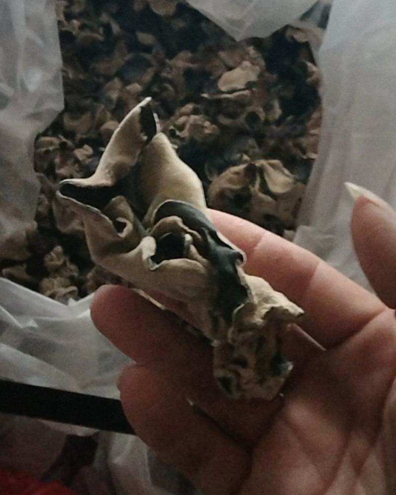 毛木耳水洗木耳