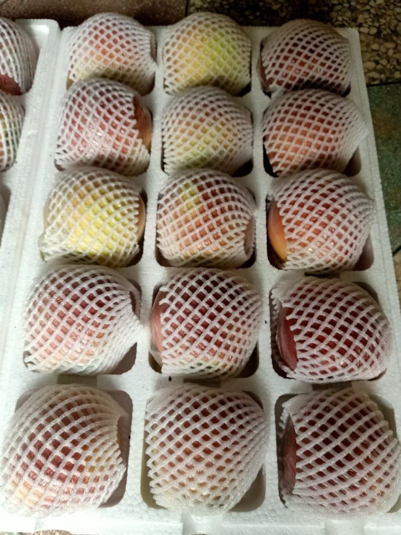 江苏精品红富士苹果，注重口感与品质，脆甜可口，