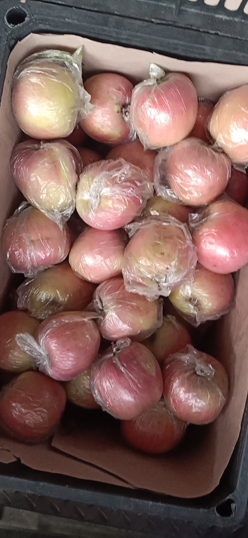 江苏精品红富士苹果，注重口感与品质，脆甜可口，