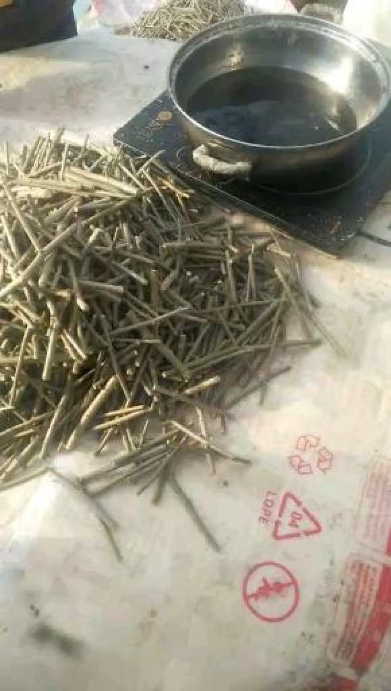 东北耐寒苗木，雪柳枝条规格齐全量大优惠！