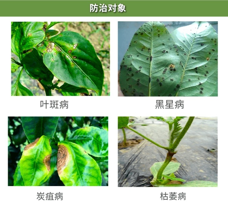 25%苯甲咪鲜胺炭疽病叶斑病黑星病菌核病疮痂病杀菌剂