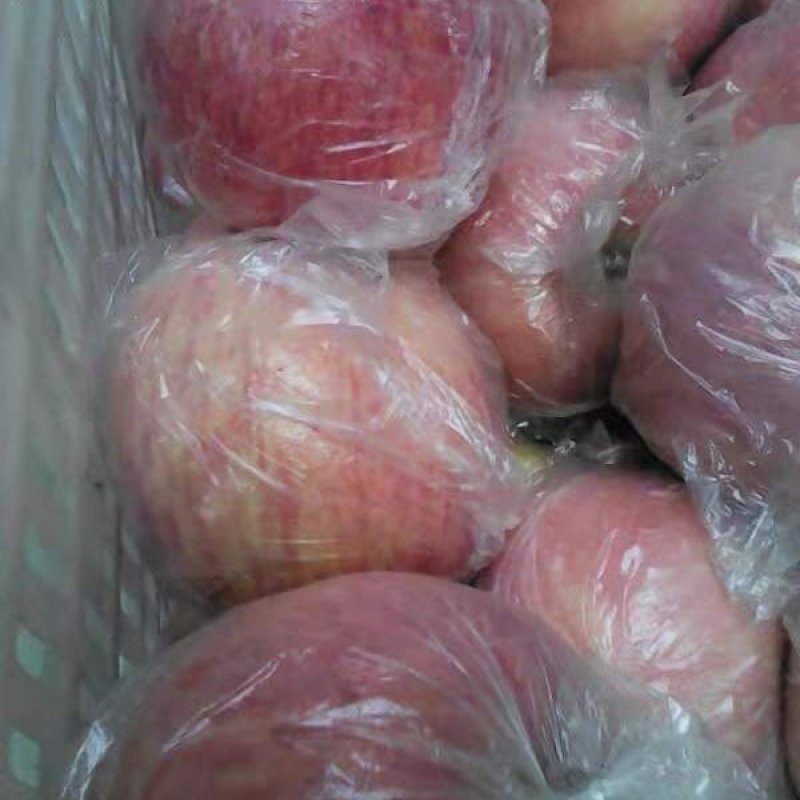 水晶富士苹果80mm以上膜袋货源充足