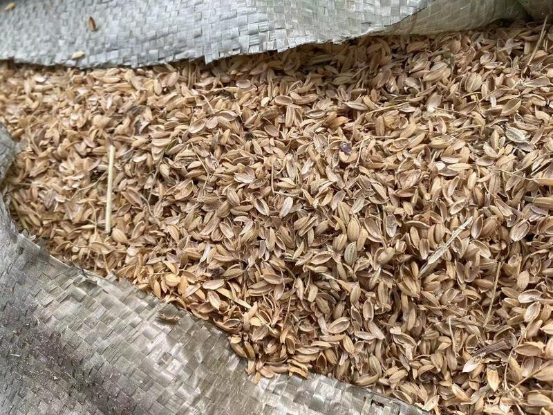 稻壳垫料保温材料添加辅料等精筛无土无杂质常年供应