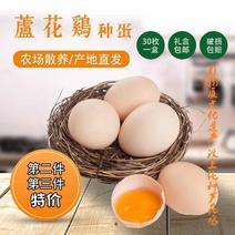 济宁汶上纯种芦花鸡种蛋受精率高五黑种蛋包破损