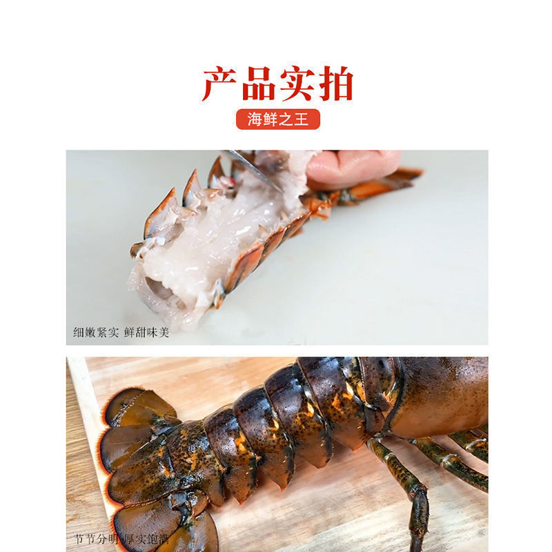 生冻波士顿龙虾新鲜速冻生冻大虾波龙速冻波龙[新鲜速冻发货