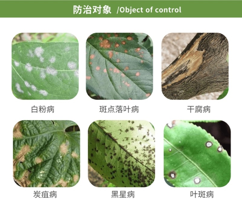 43%戊唑醇白粉病干腐病斑点落叶病黑星病锈病农药杀菌剂