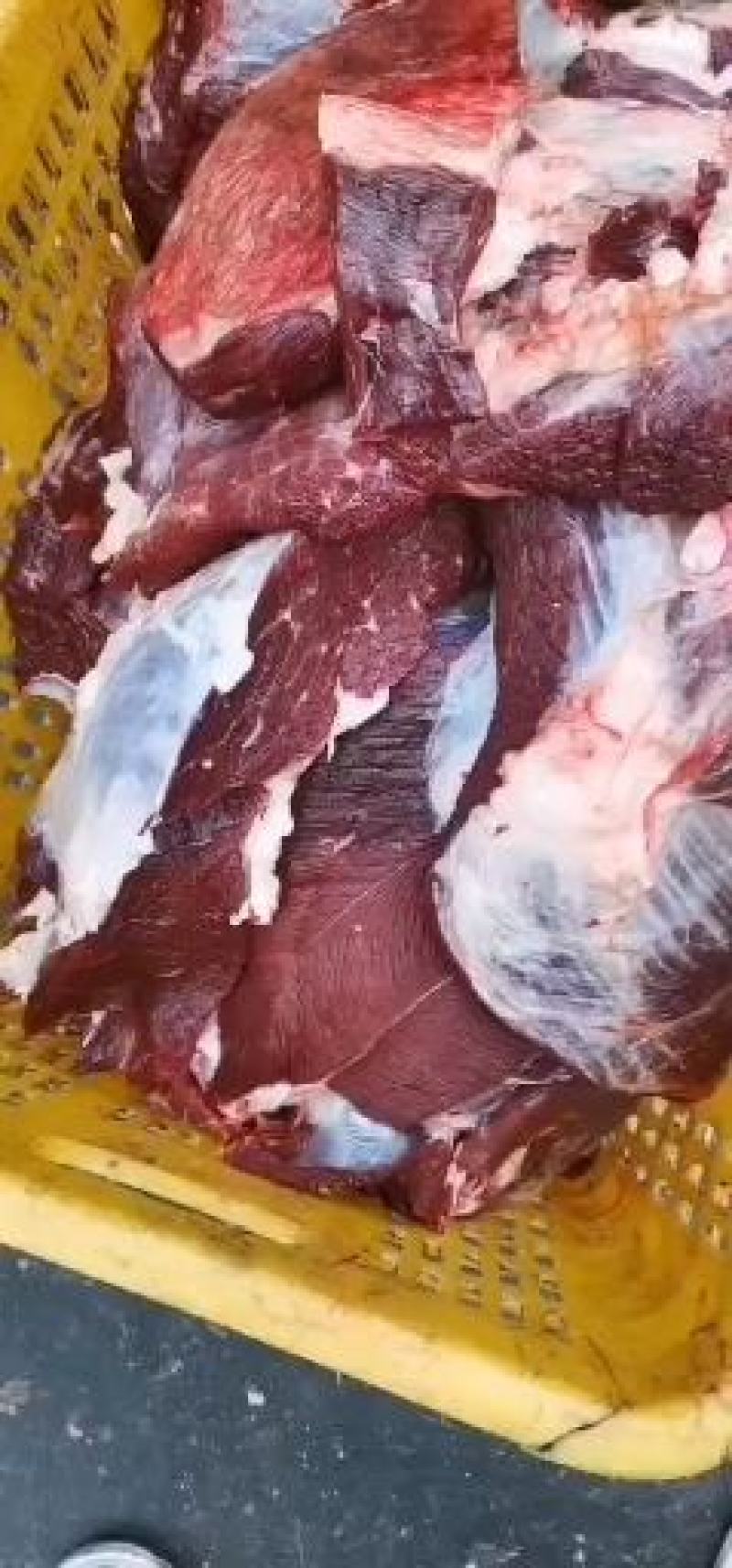 高原新鲜牦牛肉