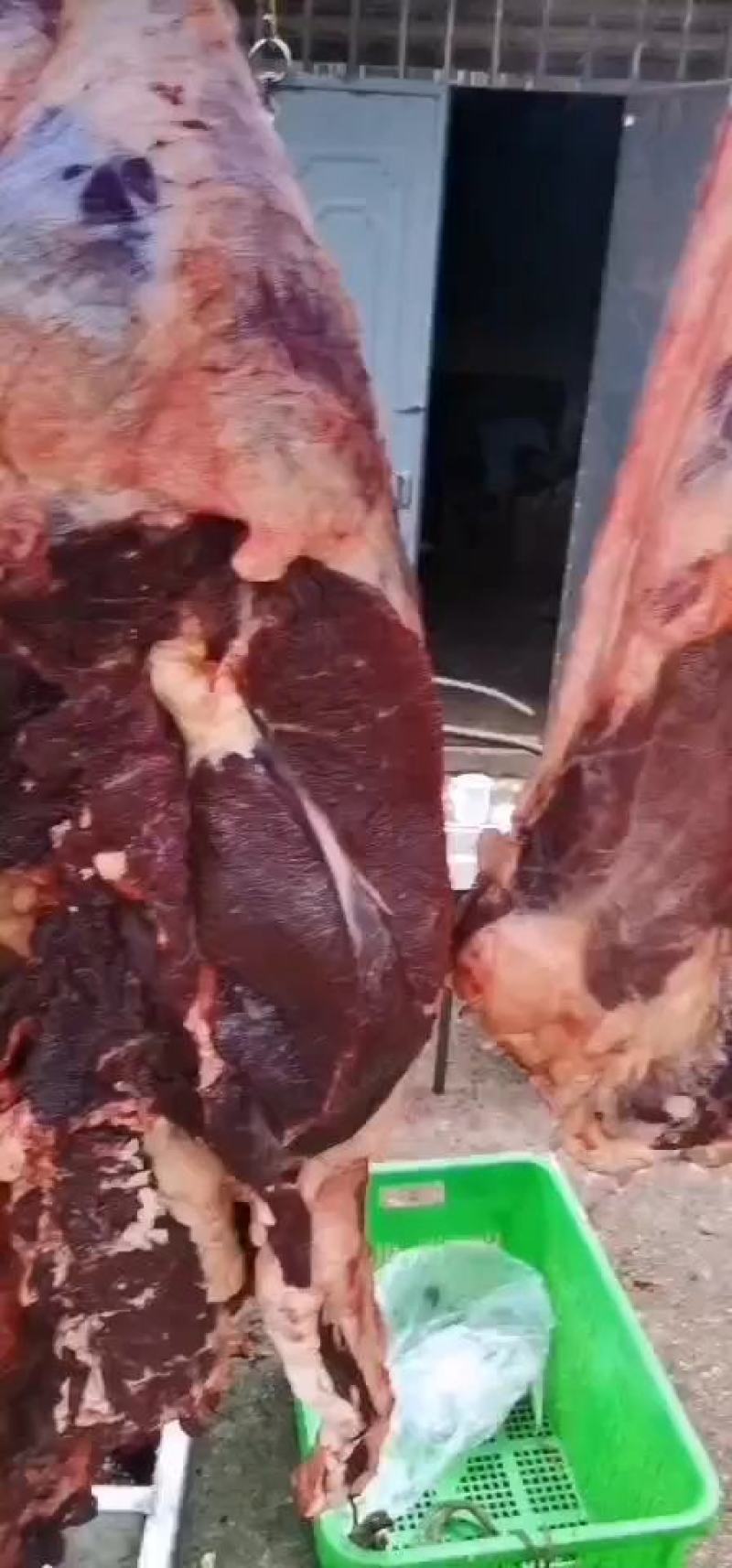 高原新鲜牦牛肉