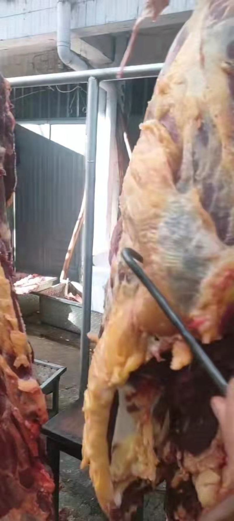 高原新鲜牦牛肉