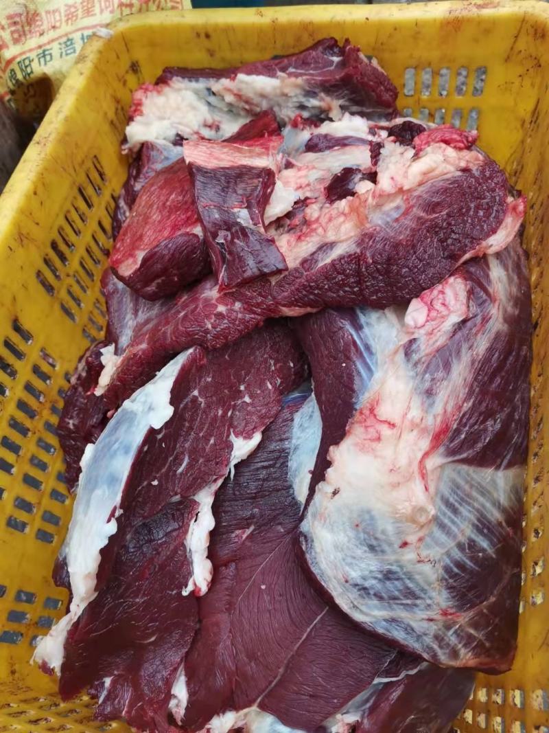 高原新鲜牦牛肉