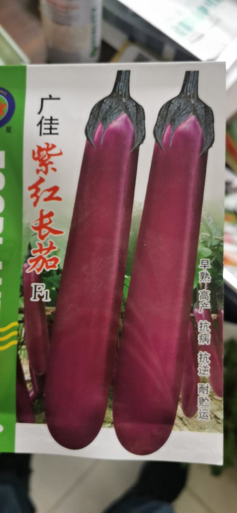 茄子种子茄广紫红长茄种子一代杂交紫红茄子条长
