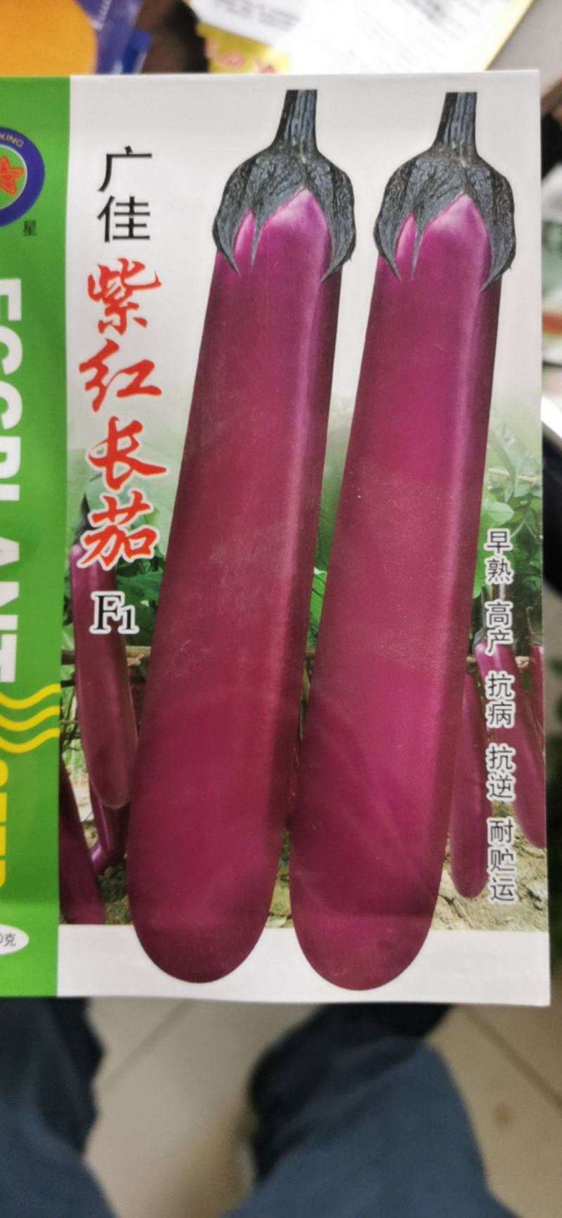 茄子种子茄广紫红长茄种子一代杂交紫红茄子条长