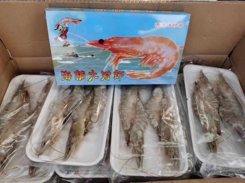 东方虾超大海虾鲜活特大对虾老虎虾海捕水产黑虎虾送礼佳品