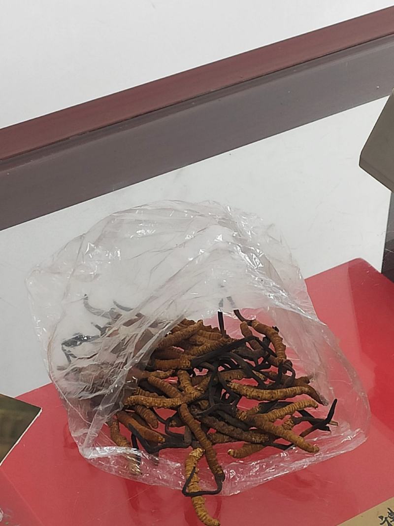 冬虫夏草干货煲汤泡酒虫草特产礼盒