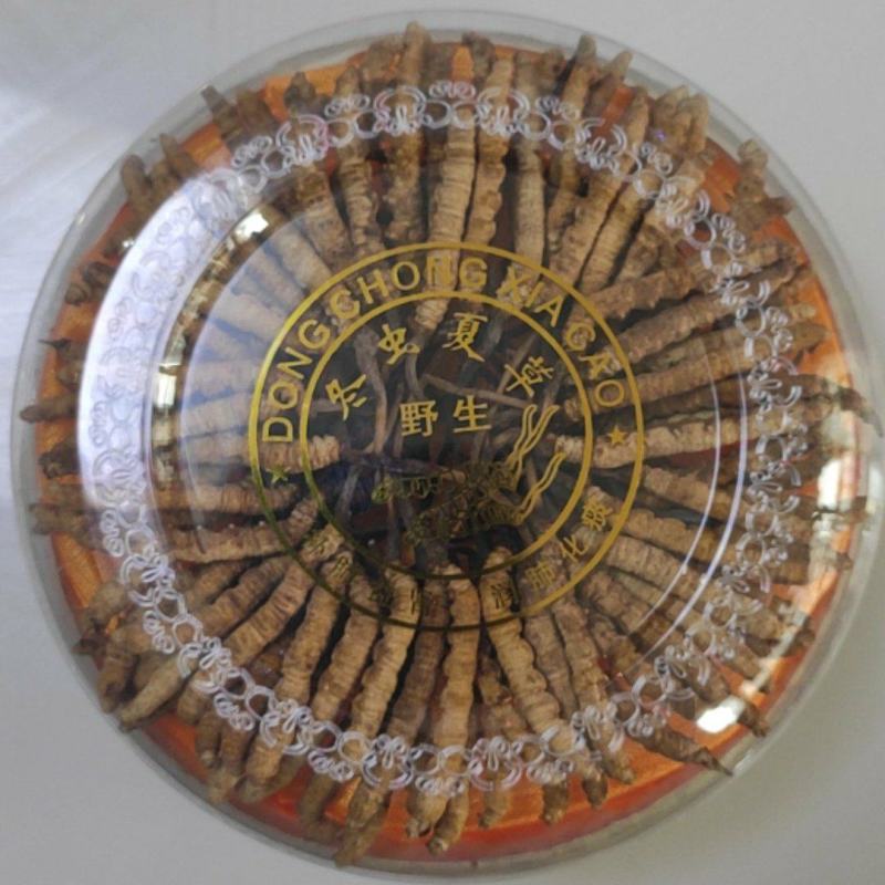 冬虫夏草干货煲汤泡酒虫草特产礼盒