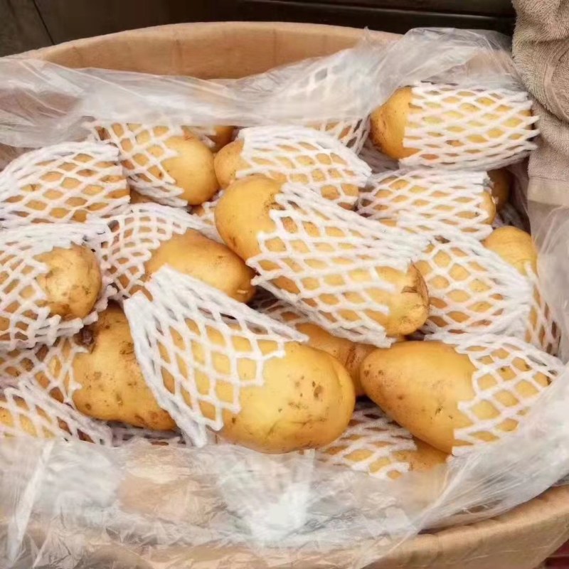 冷库黄心土豆大量出库，货源充足，全国发货，支持视频看货