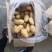 冷库黄心土豆荷兰十五土豆货源充足产地一手货源，全国发货，