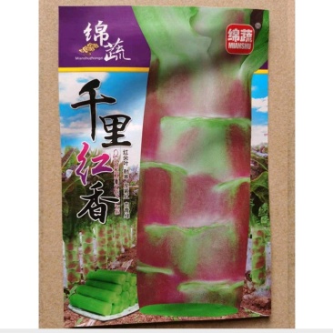 红莴苣种子莴笋紫绿笋秋冬莴笋种子耐寒红皮莴笋种籽