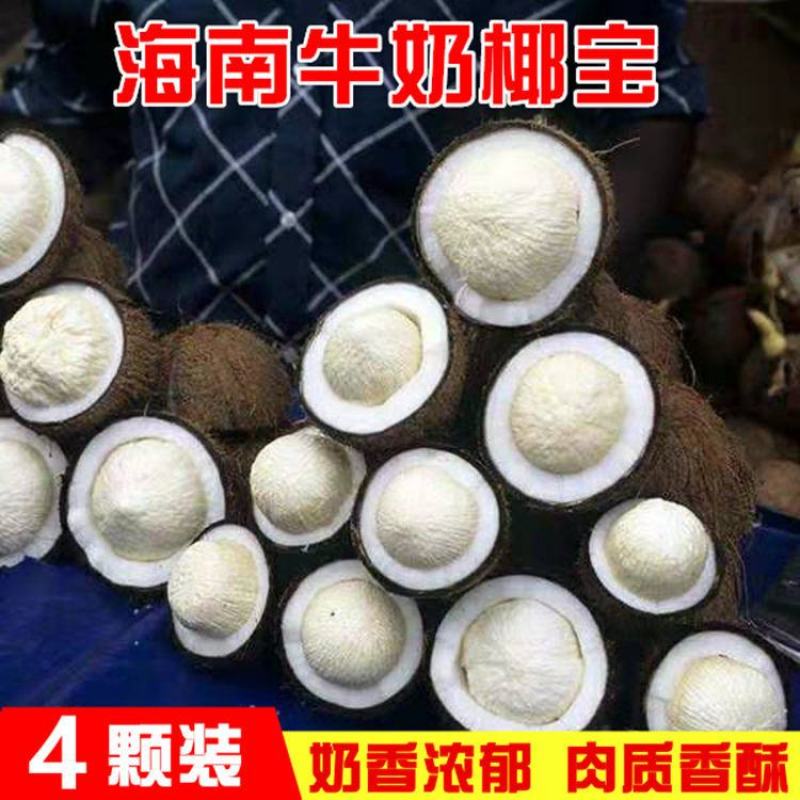 常年批发椰宝产地直发包邮非进口椰6个装全国发货