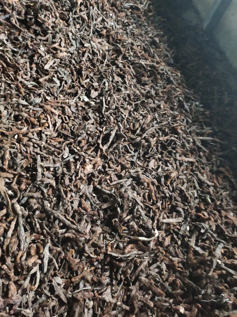 重庆奉节货，骨碎补大山深处，野生，烘干机烘干脱毛货，