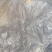 鲜毛肚