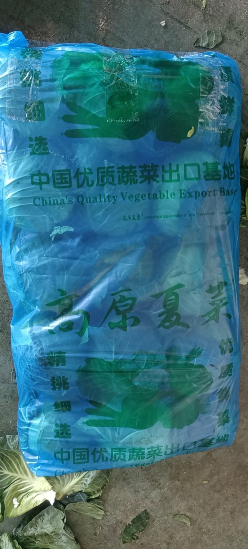 福建甘蓝海量上市
