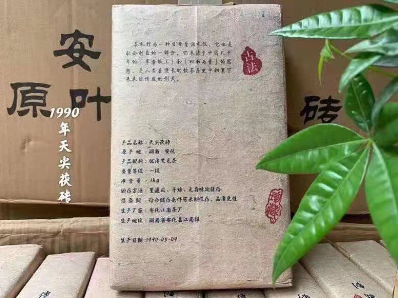 茯砖茶黑茶能喝的老古董