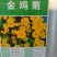 金鸡菊园艺花卉种子金菊大锦鸡菊花籽春秋播种多年生宿根简单