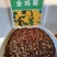 金鸡菊园艺花卉种子金菊大锦鸡菊花籽春秋播种多年生宿根简单