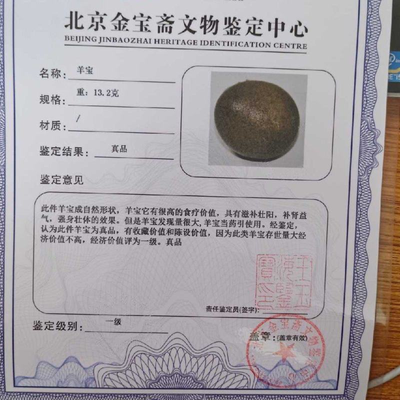 羊结石，鉴定过，有证书真品