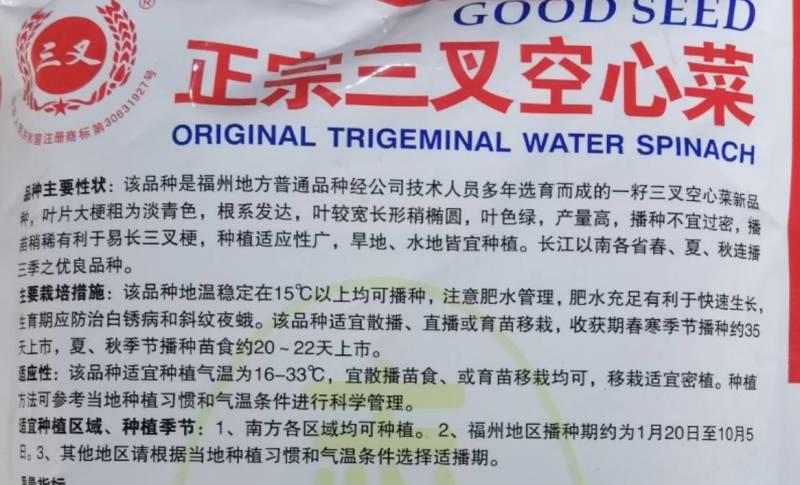 正宗三叉空心菜种子中蔬青梗大叶三叉空心菜籽高产耐热耐湿