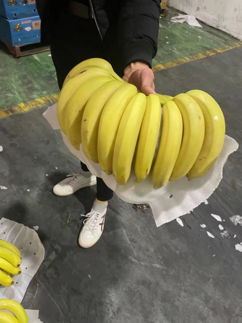 索菲亚