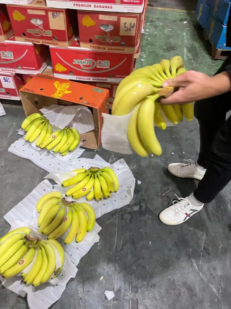 索菲亚