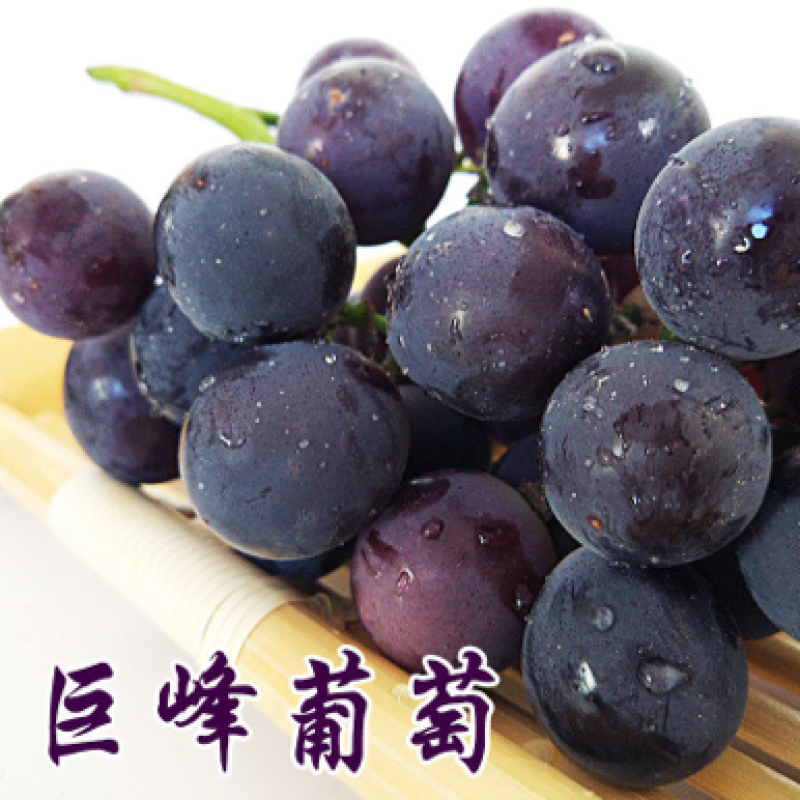 河北巨峰葡萄适合市市电商批发市场-货好价低