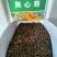 新黑心菊花卉种子黑眼菊金光菊园艺花籽春秋播种易活花海盆栽