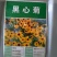 新黑心菊花卉种子黑眼菊金光菊园艺花籽春秋播种易活花海盆栽