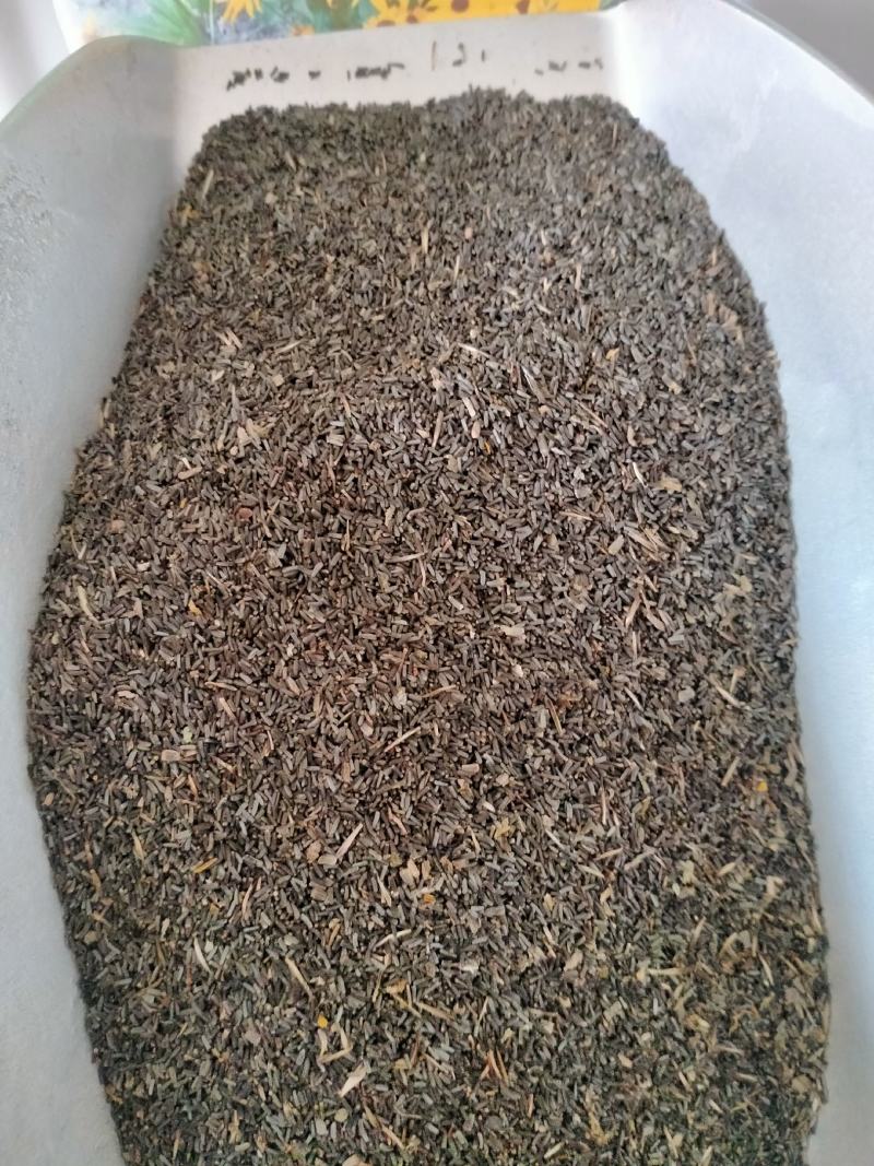 新黑心菊花卉种子黑眼菊金光菊园艺花籽春秋播种易活花海盆栽