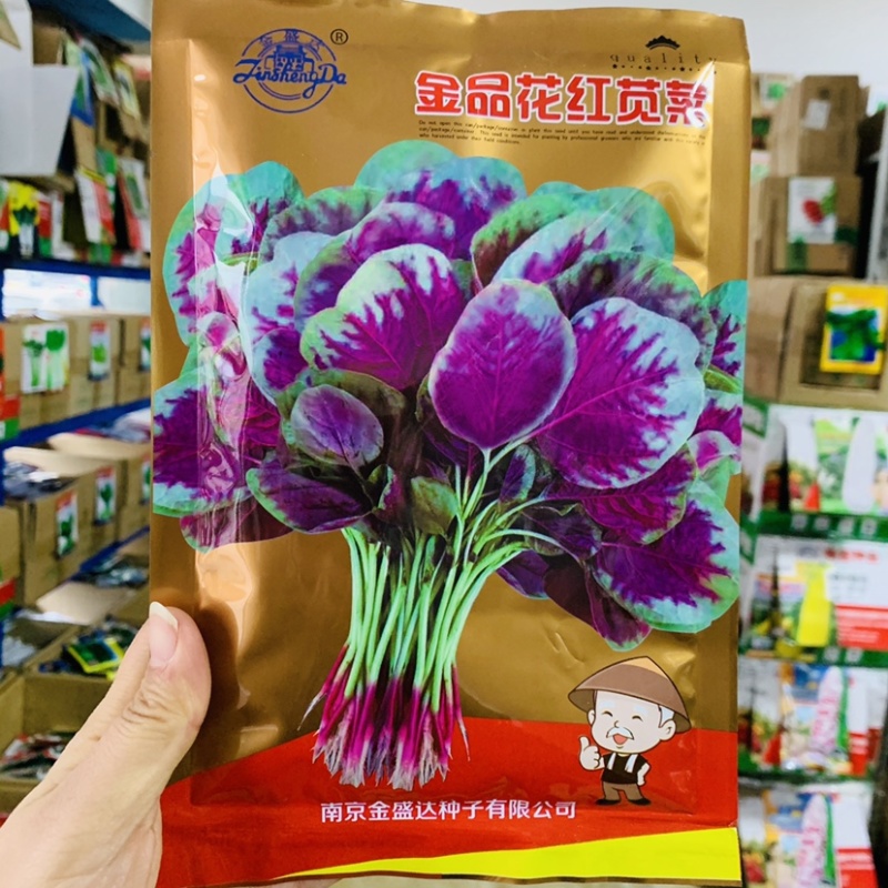 金品花红苋菜种子批发蔬菜种子红根圆叶红苋菜种籽