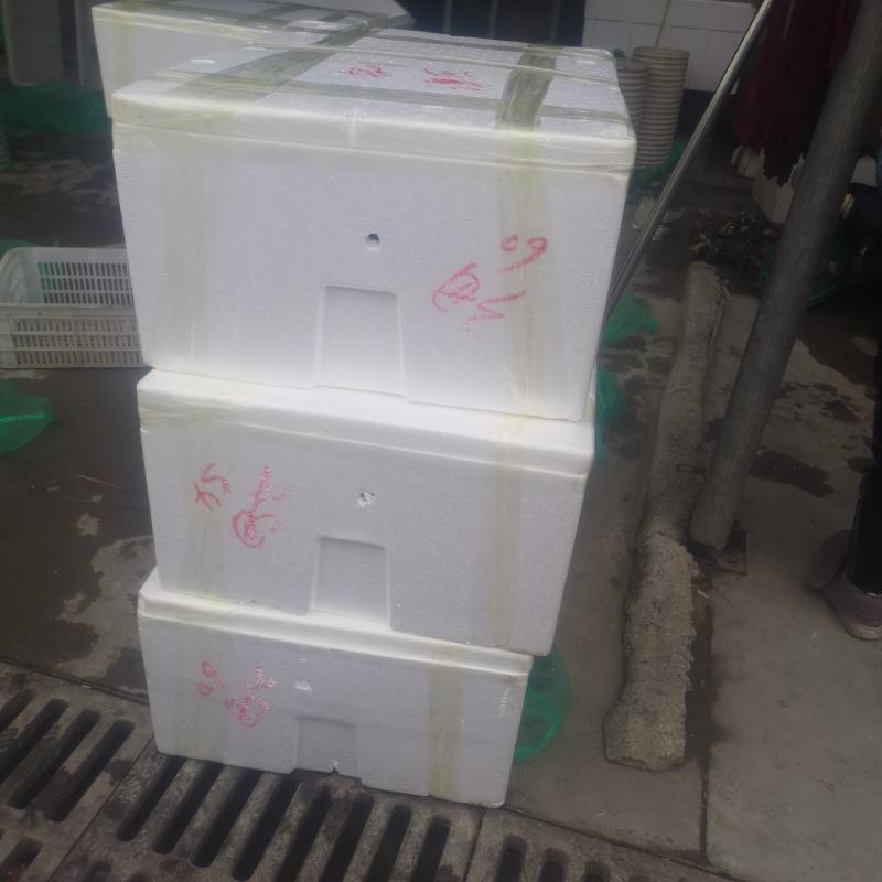 兴化精品大闸蟹，规格正，膏满黄多，规格齐全，量大从优