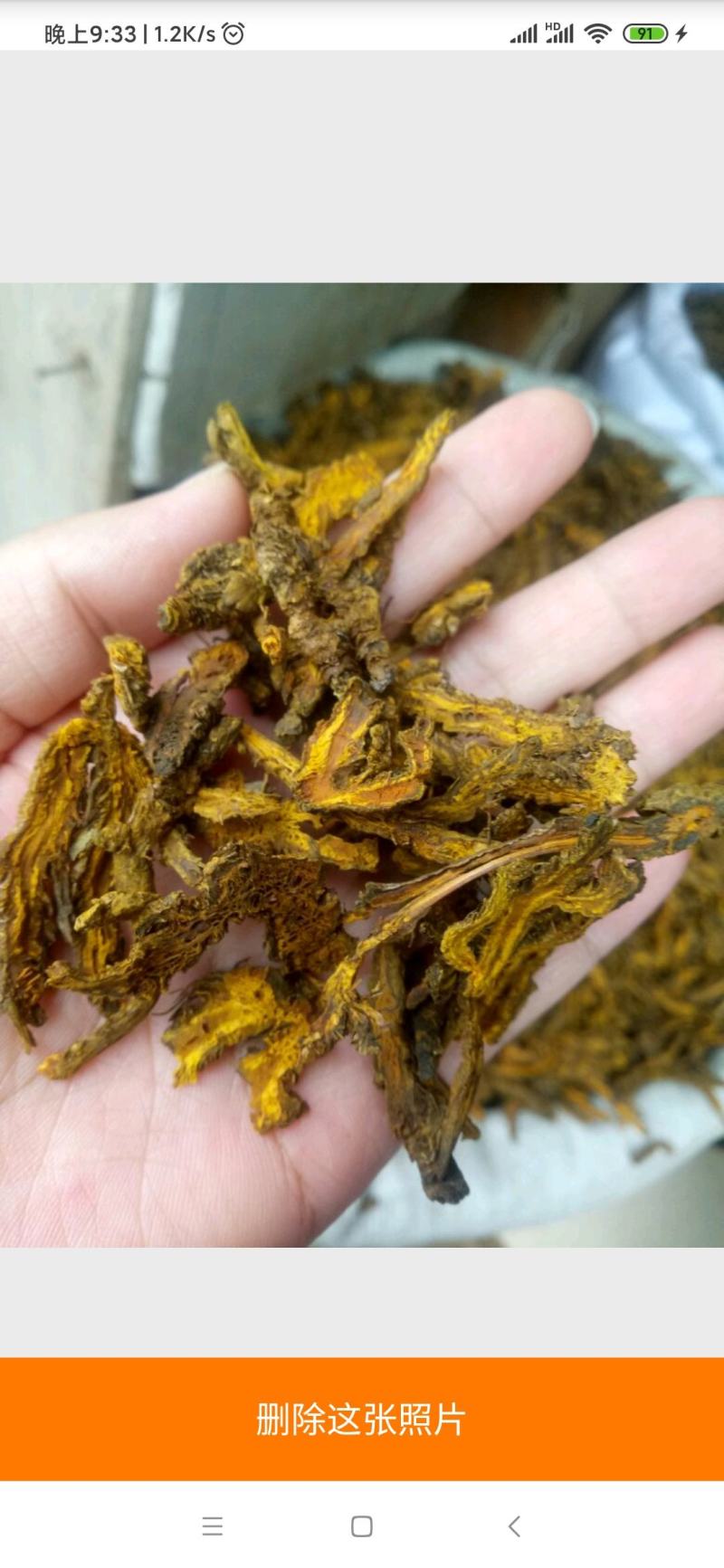 黄连干货切片干净无杂质量大从优