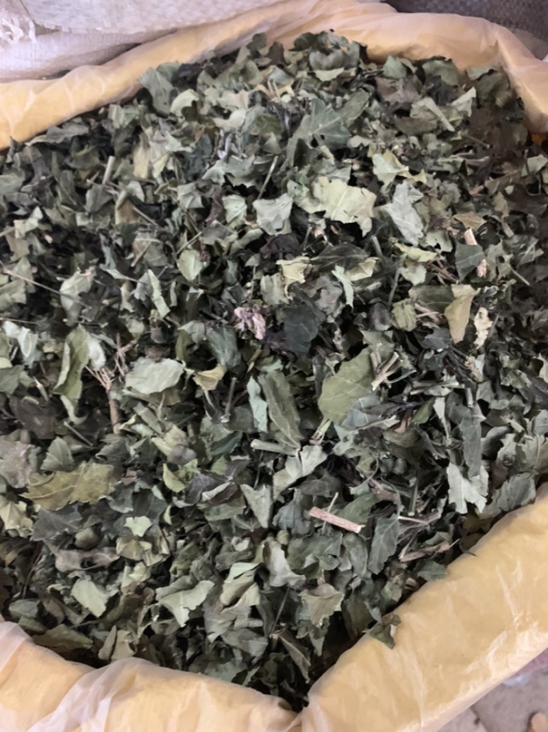 白鹤灵芝中草药白鹤灵芝草干货批发仙草癣草支持一件代发