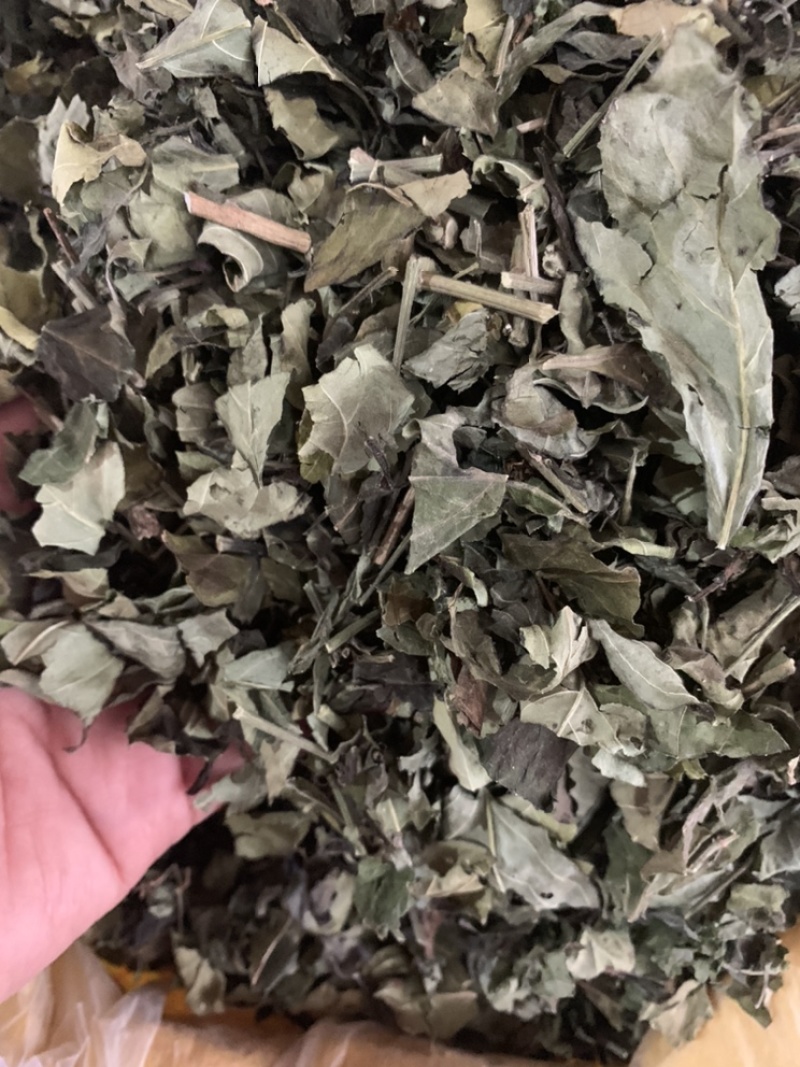 白鹤灵芝中草药白鹤灵芝草干货批发仙草癣草支持一件代发