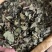 白鹤灵芝中草药白鹤灵芝草干货批发仙草癣草支持一件代发