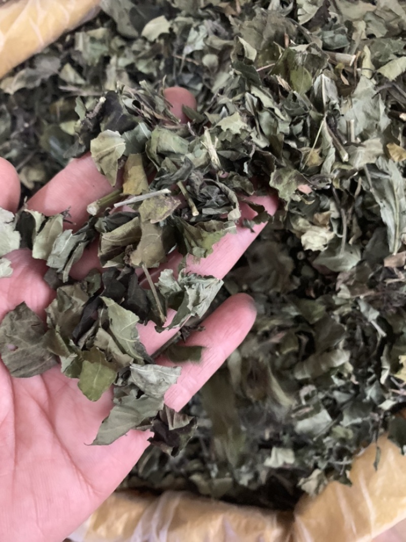 白鹤灵芝中草药白鹤灵芝草干货批发仙草癣草支持一件代发