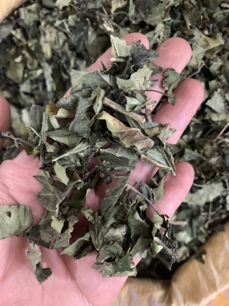 白鹤灵芝中草药白鹤灵芝草干货批发仙草癣草支持一件代发