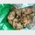 卷柏干货九死还魂草干净无杂质