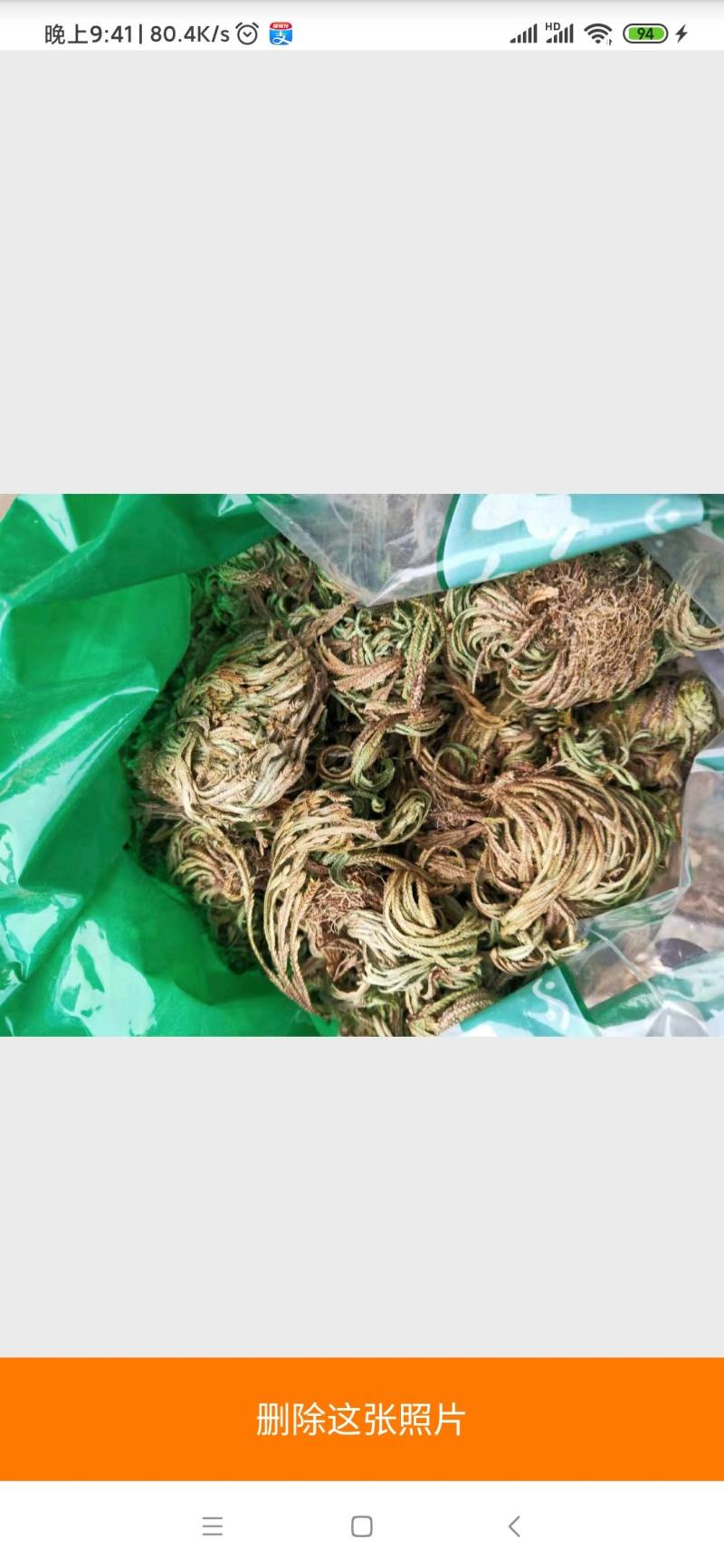 卷柏干货九死还魂草干净无杂质
