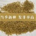 野生蒲公英种子婆婆丁种籽春秋冬四季盆栽种植野菜蔬菜种孑大