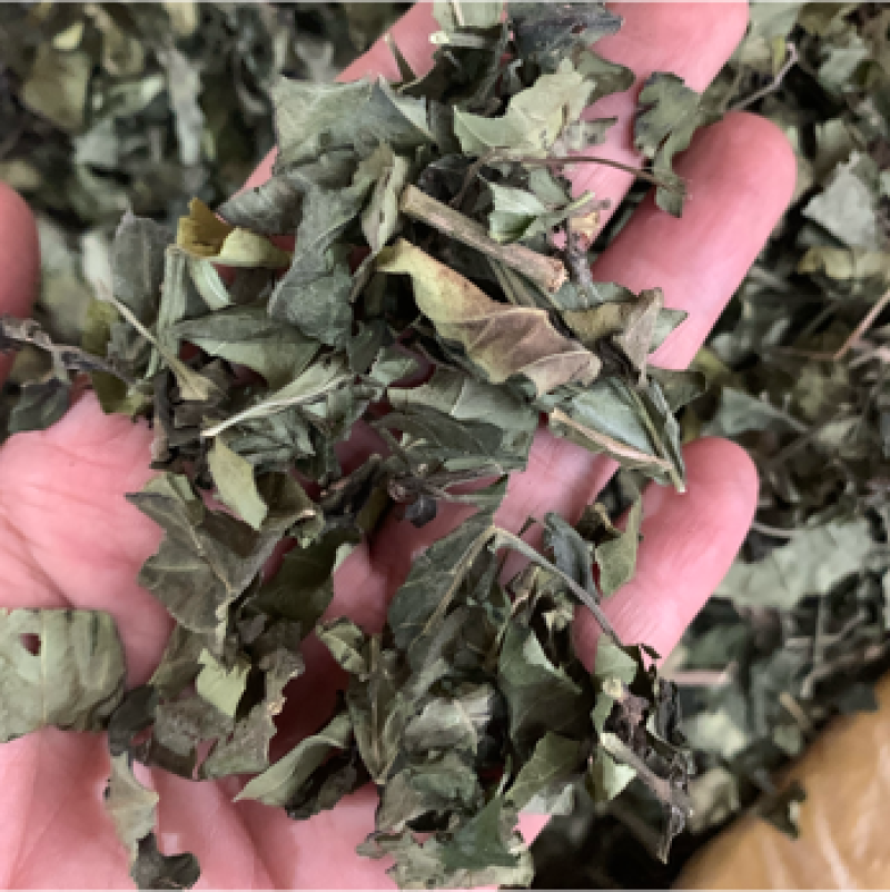 白鹤灵芝中草药白鹤灵芝草干货批发仙草癣草支持一件代发
