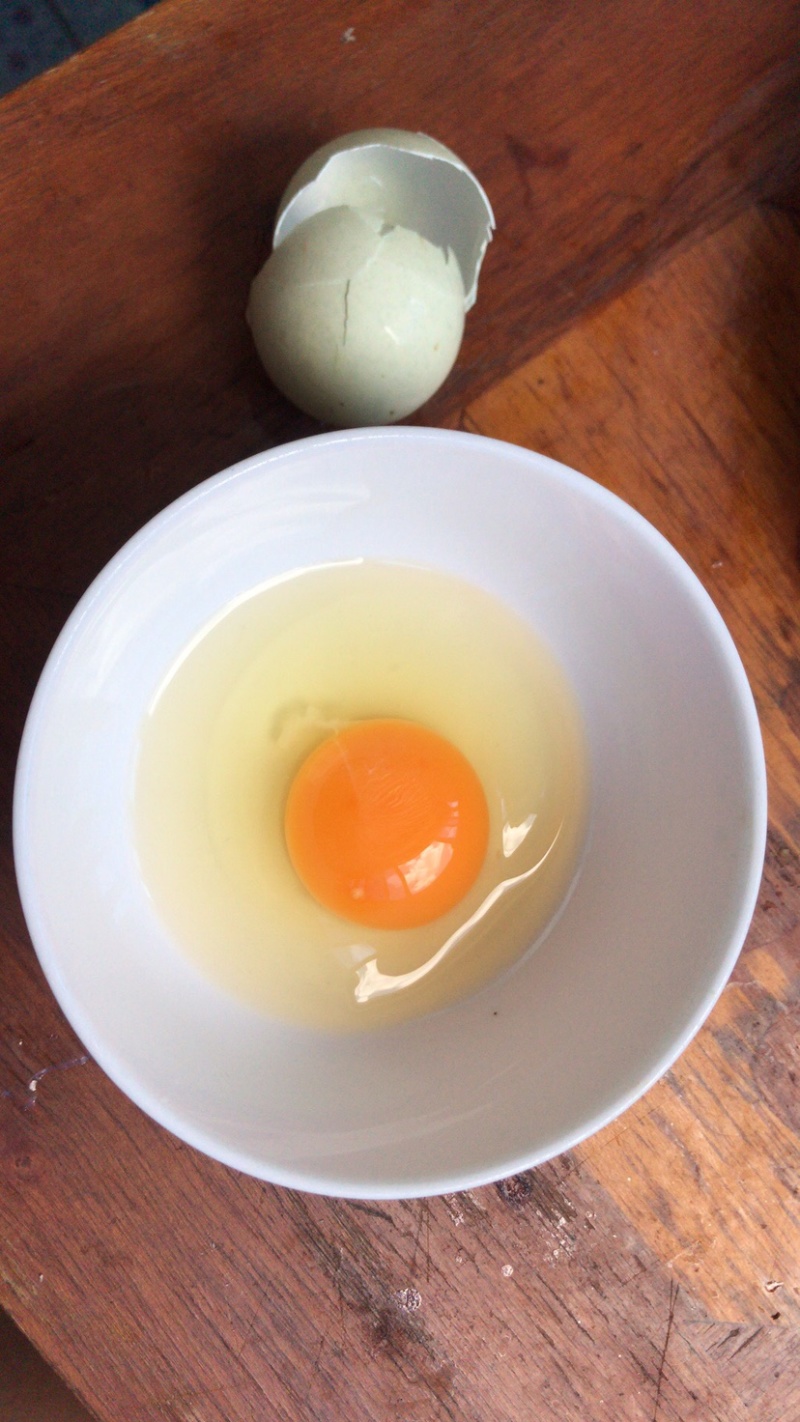 乌鸡绿壳土鸡蛋，山林放养，营养，健康绿色食品